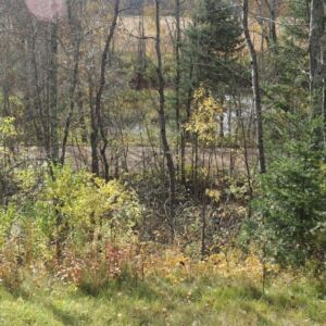 2.00 acres in Radisson, WI (Sawyer County) - APN 004-738-07-4404 (photo 18)